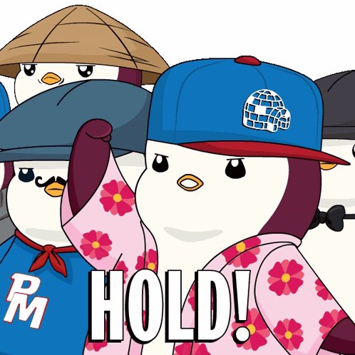 donairdaddy's tweet photo. REPOST If you have never sold any $PENGU! https://t.co/fmVsIWGXoy