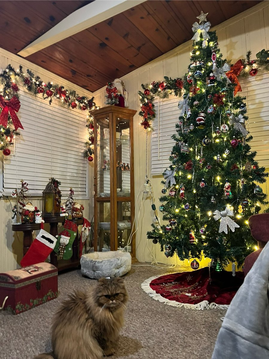 Opinionatedhjby's tweet photo. Off work until next year! Mocha is so excited he gets 2 whole weeks of me. Happy Holidays! #CatsOfChristmas #MochaCat https://t.co/L0WrfhxiJy