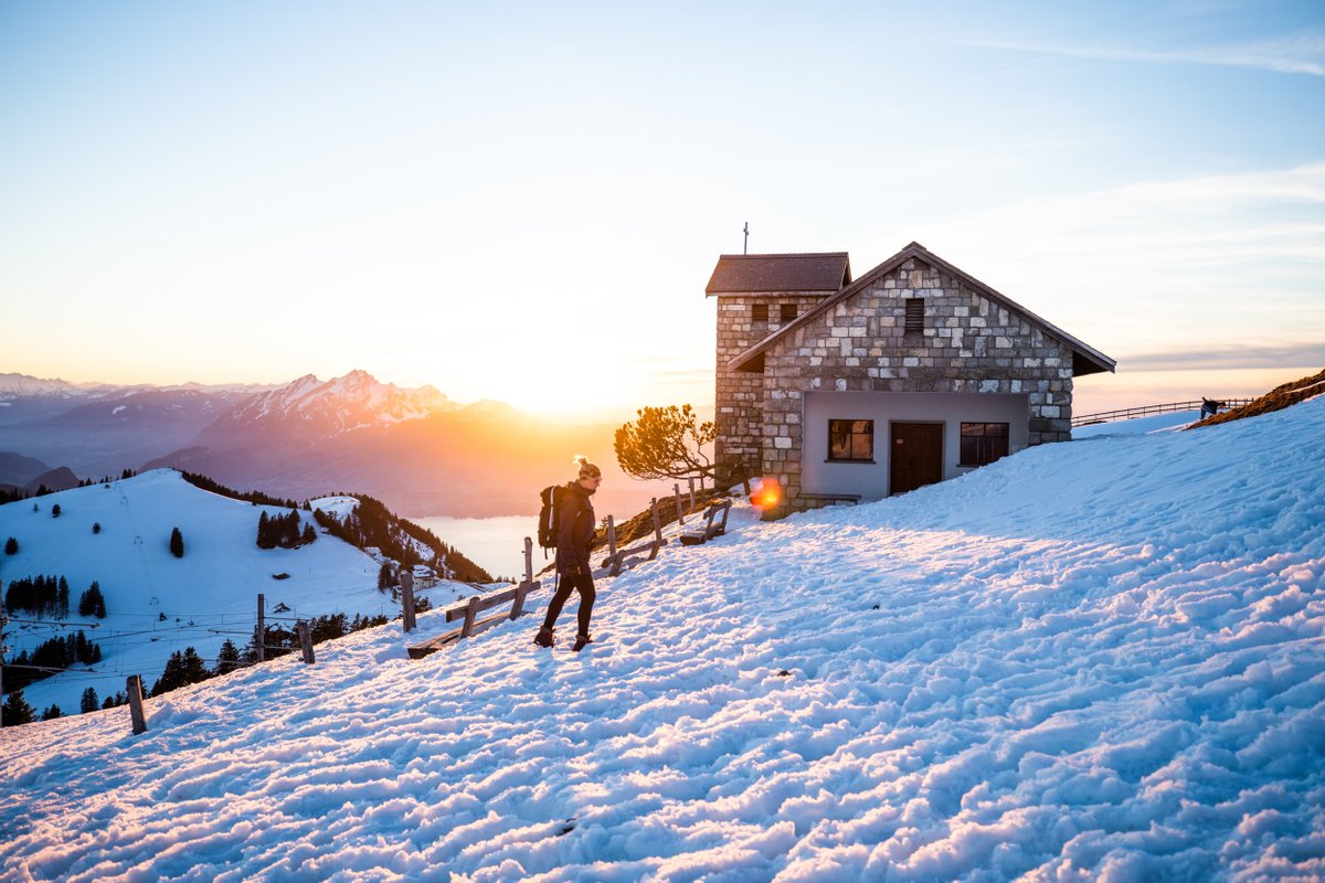 Switzerland tweet media