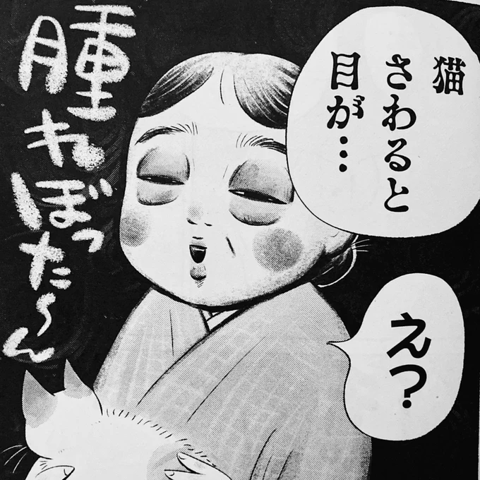 「赤紙がきた猫」第13話が現在発売中の週刊漫画TIMESに掲載されております。よろしくお願いします。

作者近況
右足左足それぞれにお猫がのってきてアイムソーハピー🐈😊🐈 