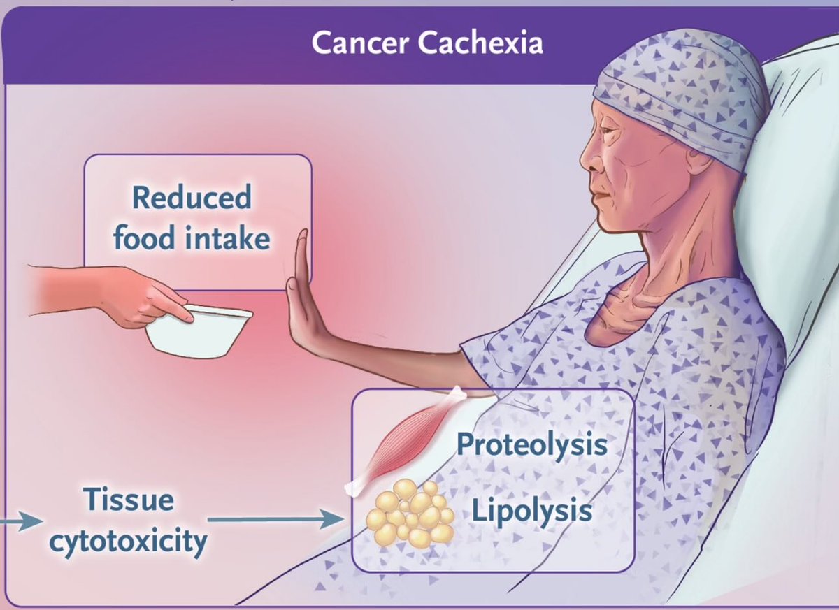 Dr Jérôme BARRIERE, MD. tweet media
