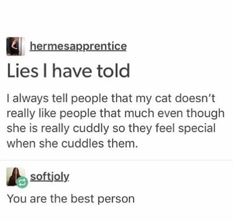 WholesomeMeme's tweet photo. https://t.co/Jq1vBsw1xs