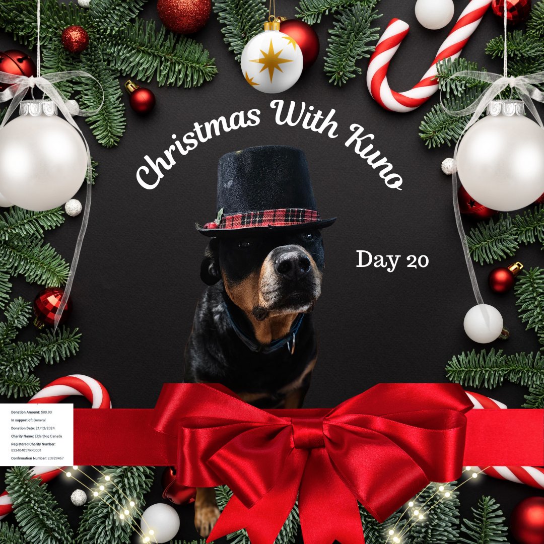 It's day 20 of the #ChristmasWithKuno #CharityAdvent Countdown! Today I'm going to tell you about ElderDog Canada. 
ElderDog is an organization that recognizes the special bond between senior humans and dogs. They assist older adults in the care of their companion in a variety of