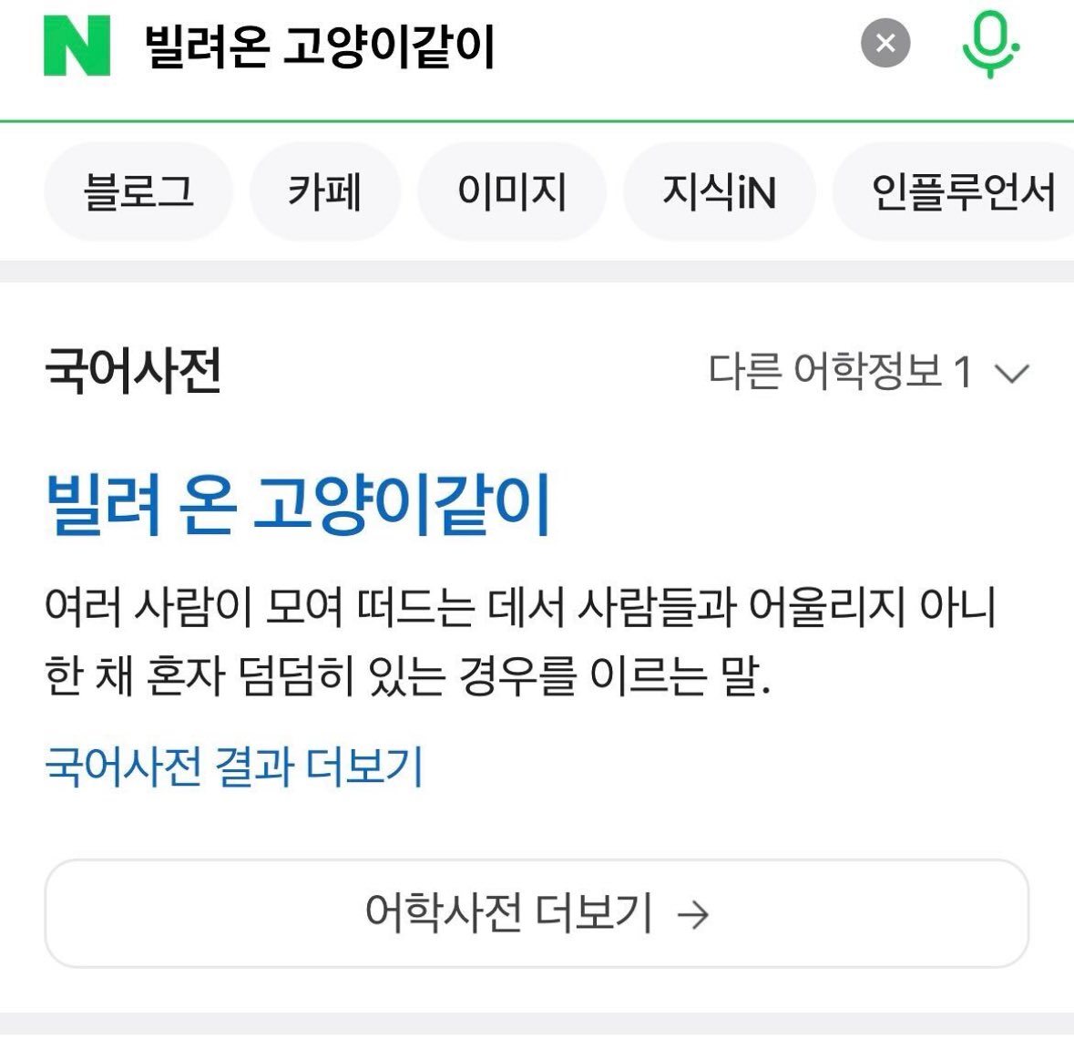 빌려온 고양이가되