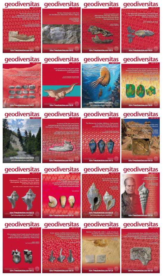 Emmanuel Côtez tweet media