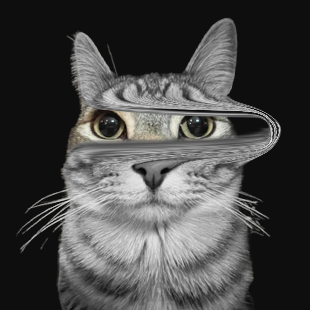 Zazu Cat | Fan Page tweet media