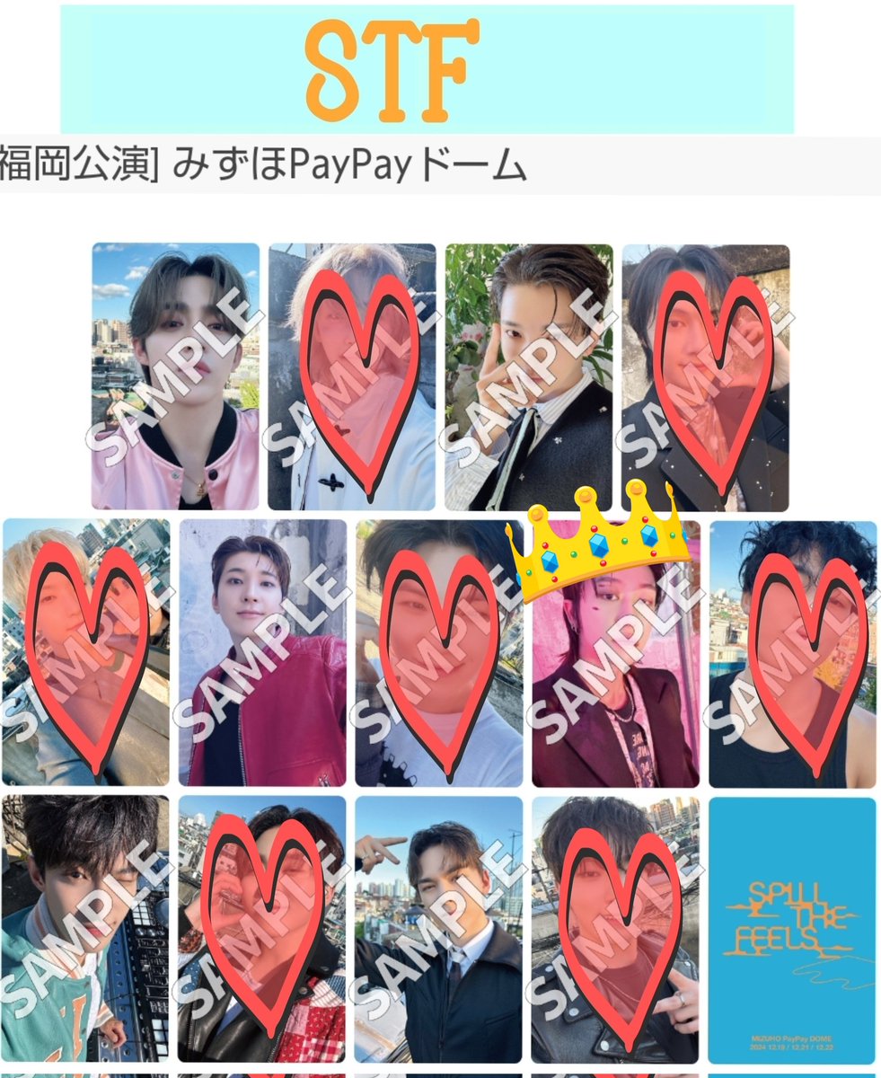 @mi🐶🐱🐯💎(固ツイ必読) tweet media