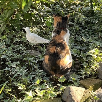 ys1y29112's tweet photo. #新しいプロフィール画像 https://t.co/poU5VqFjB0