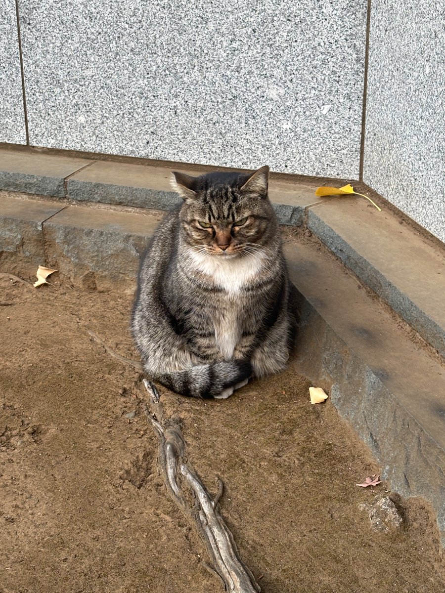 ugly2006's tweet photo. 3ヶ月ぶり https://t.co/Lulp7f2KCs