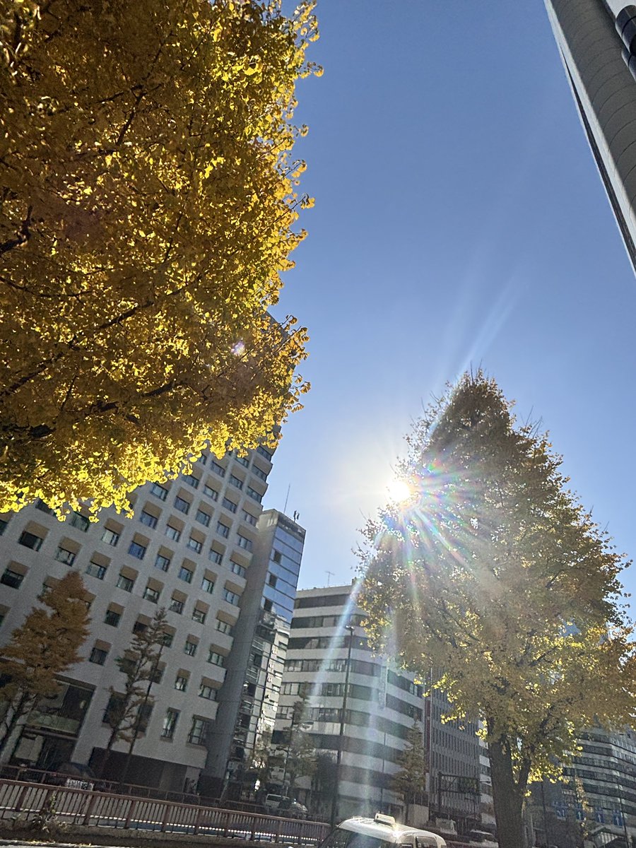 puniko01's tweet photo. 久しぶりの東京Dだっ！

誰か来てるかしら？ https://t.co/YYFE1ZGsrI