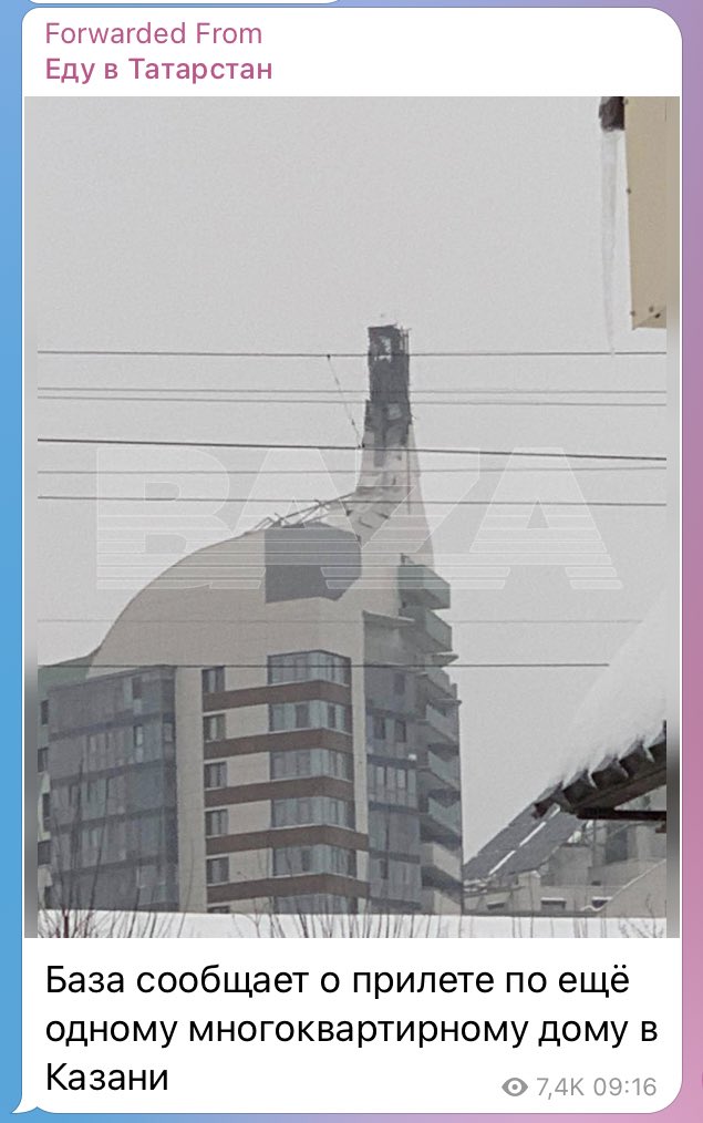Коалушка tweet media