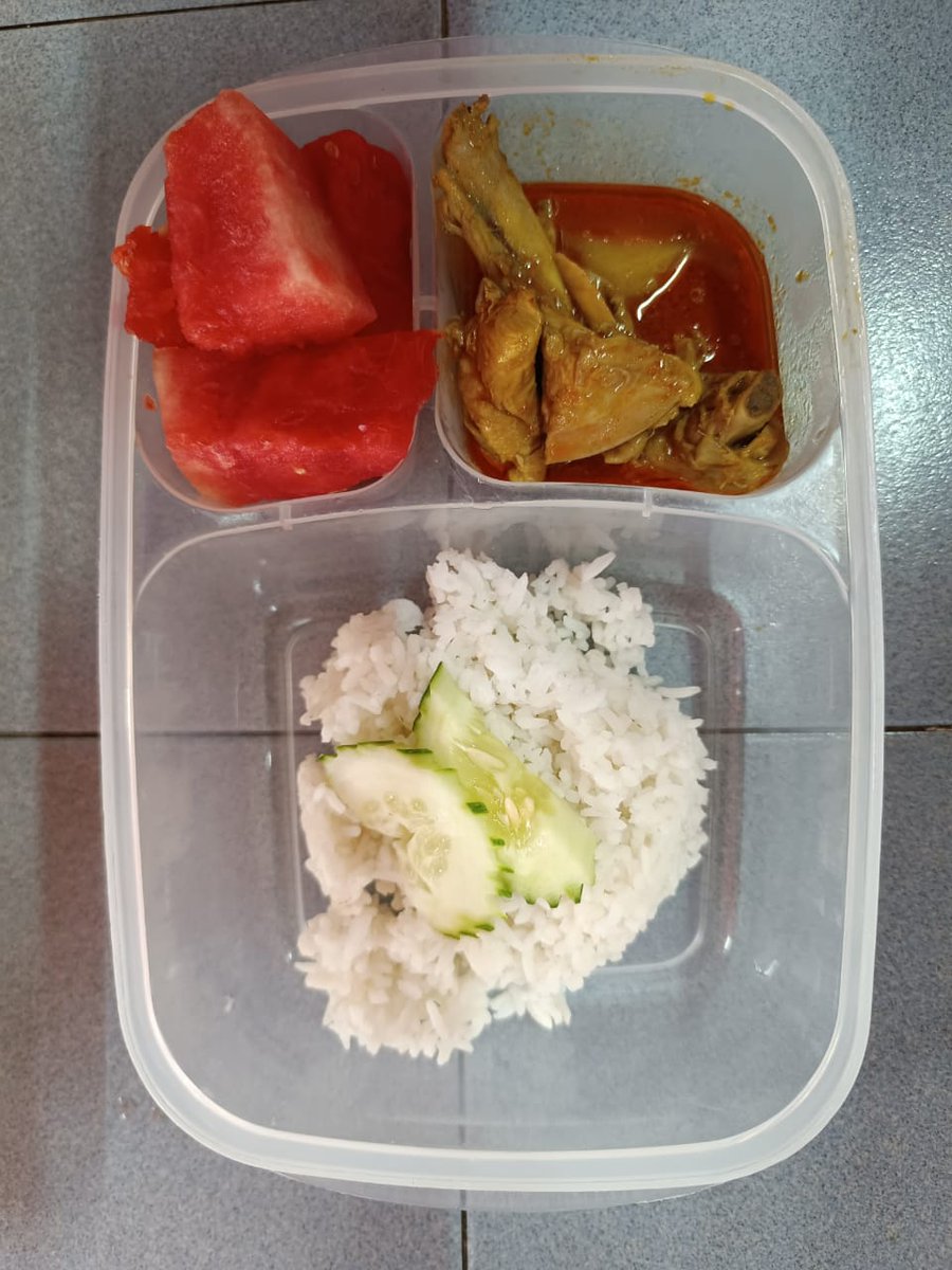 🍉🌲 @xatyrosdi.bsky.social tweet media