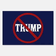 "Mr.Trump is constitutionally disqualified under Sec. 3 of 14th Amendment from taking the oath as president on 1/20/25 unless 2/3 of both houses lift the disqualification” Laurence Tribe Harvard Legal scholar