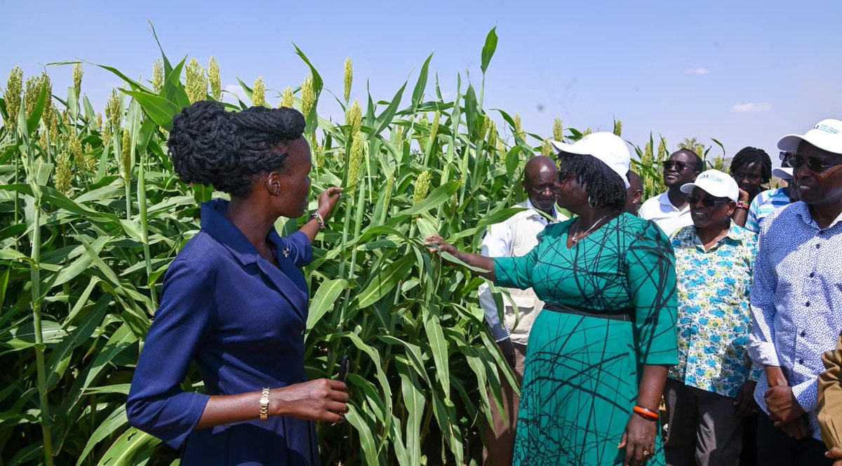 SammyNaporos's tweet photo. Supporting food security in Turkana county; Visit by CS Hon. Beatrice Askul Moe to Napuu irrigation project to assess the level of implementation and commission farmers storage facility and office block. https://t.co/FVH8wssR1n
