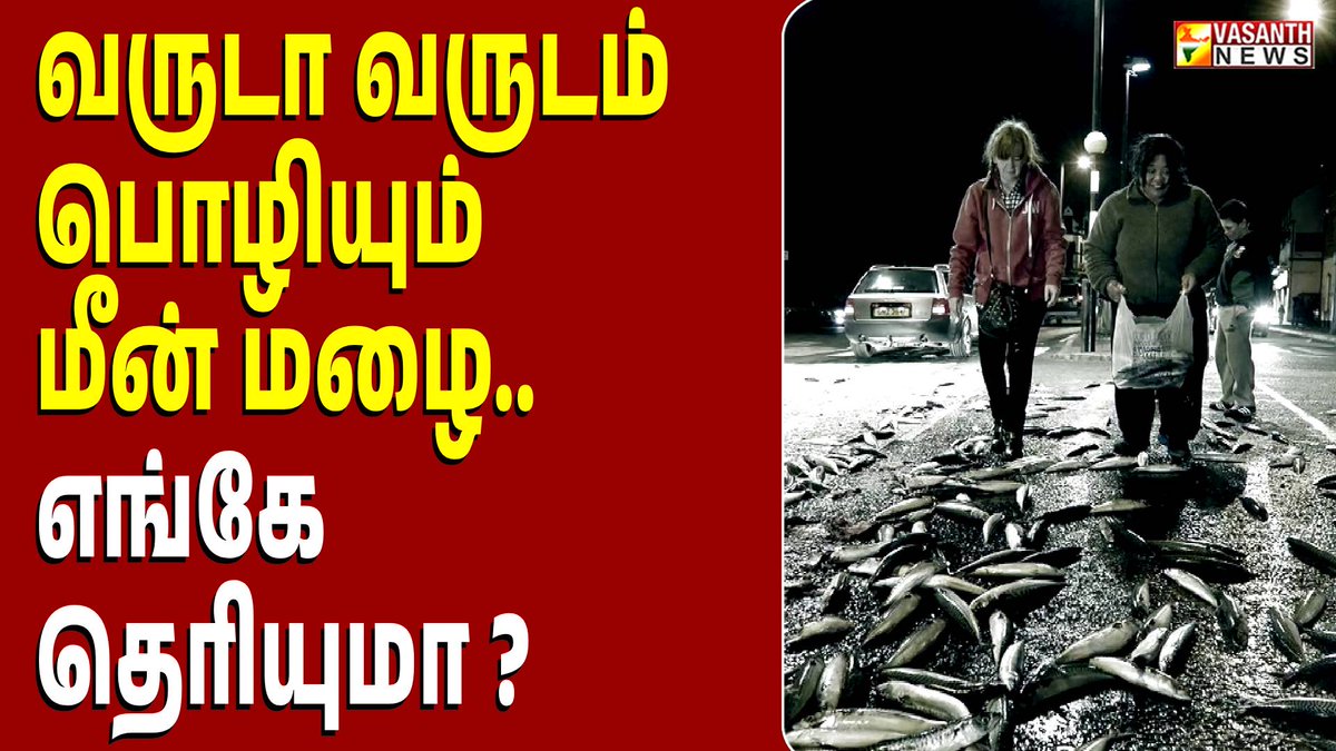VasanthNews's tweet image. வருடா வருடம் பொழியும் மீன் மழை.. எங்கே தெரியுமா ?  -கண்ட contents | Vasanth News 

▶️ youtu.be/56dAfYJC28Y

 #kandacontent #fish #fishrain #singapore #kerala #andrapradesh #weird #natural #worldwonder #worldnews #vasanthnews #newsupdate