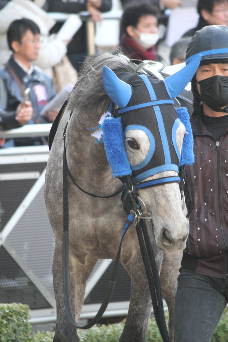 5umauma's tweet photo. 12.21🐎中山11R グレイトフルS
イヤサカ🐴♡ https://t.co/zWpcb2zTDy