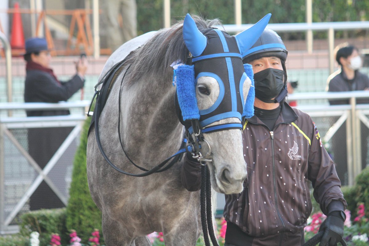 5umauma's tweet photo. 12.21🐎中山11R グレイトフルS
イヤサカ🐴♡ https://t.co/zWpcb2zTDy