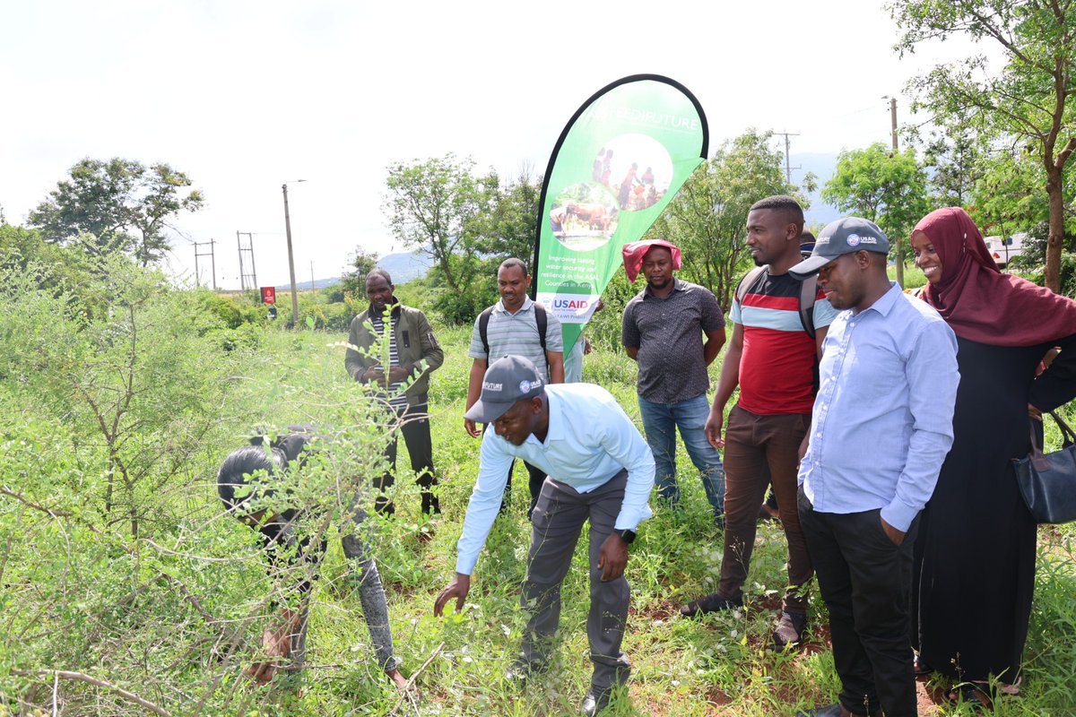 TaitaTaveta006's tweet photo. The #FMNR initiative is set to rehabilitate 12,500 acres of our land thanks to a @USAIDKenya-#STAWI partnership. 30 staff trained as ToTs to empower 10 lead farmers each to embrace innovative climate action and nature-based solutions! 🌍 #ClimateAction #SustainableAgriculture https://t.co/g9pjhD5QkF
