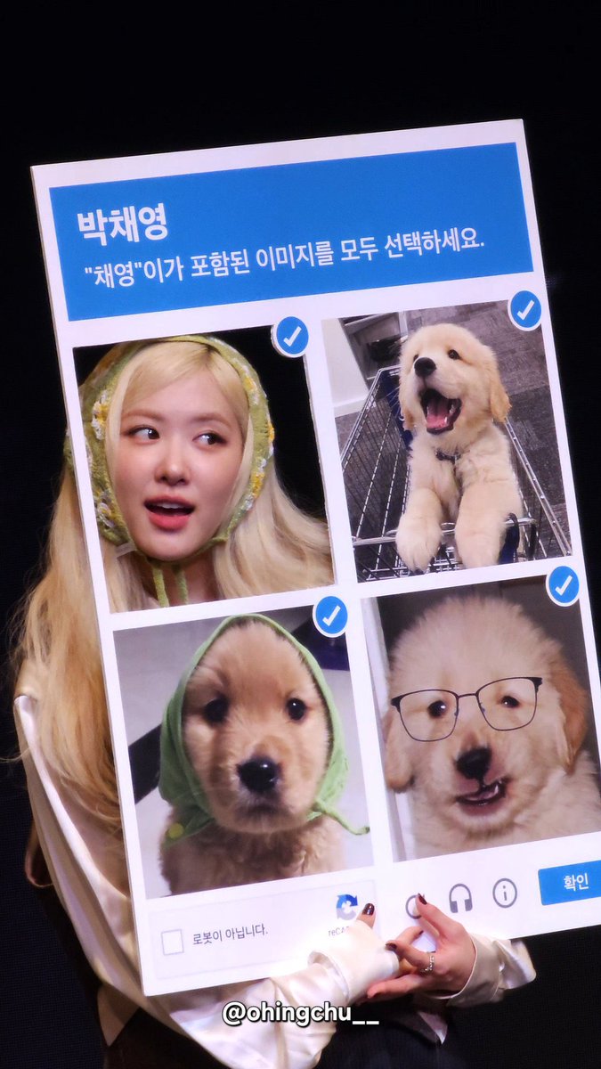 rosie (@roseannepics) on Twitter photo 