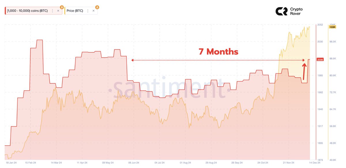 cryptorover's tweet photo. #BITCOIN WHALES BOUGHT THE LARGEST AMOUNTS OF $BTC IN THE PAST 7 MONTHS DURING THE RECENT DIP.🚨

SMART MONEY ALWAYS WINS. https://t.co/MRd8kgtem2