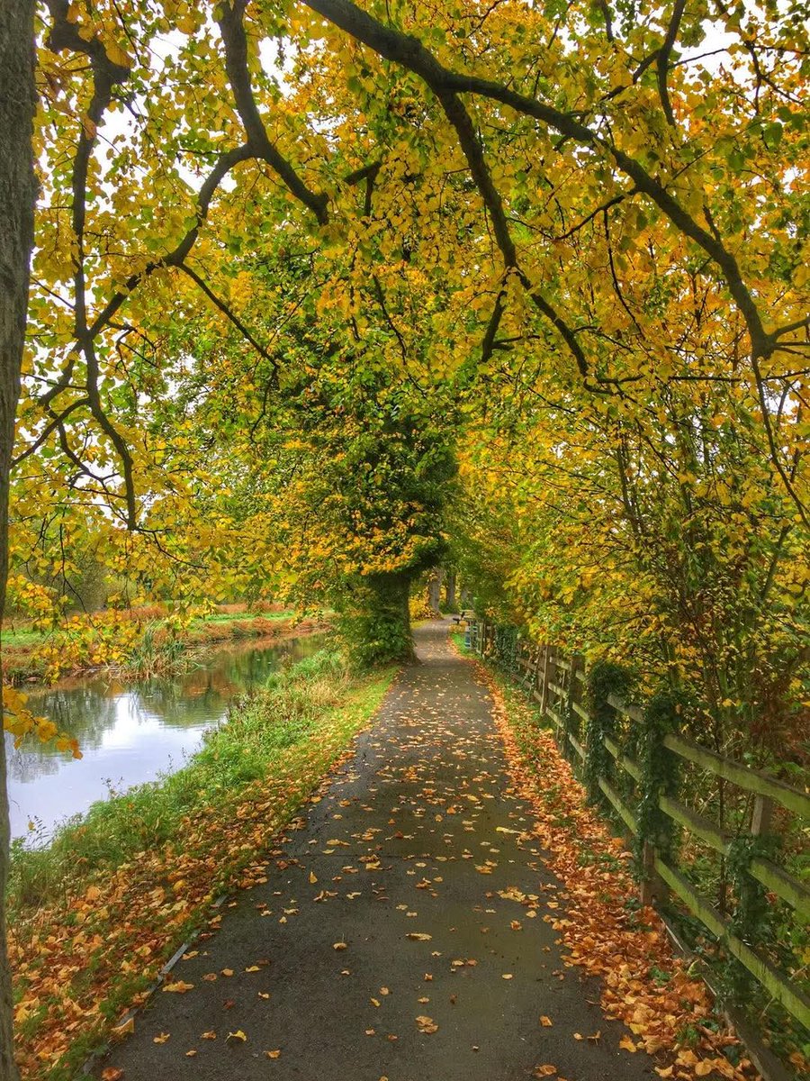 Autumn at it’s best 🍂🍁