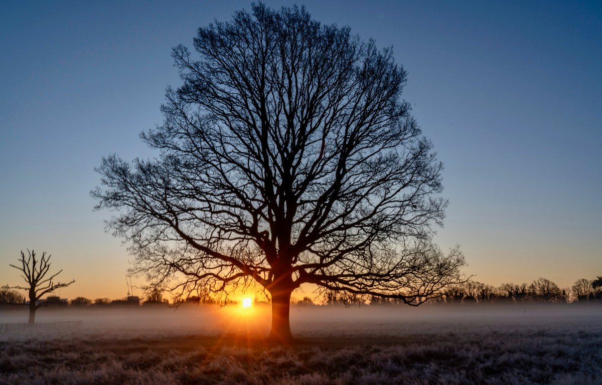 Happy Winter Solstice ❄️ ☀️ 

Make sure to get outside today, make use of every bit of daylight we have and when the night comes, know that tomorrow will be that little bit lighter 🙌🏻 

📸 <a href="/LesleyAM13/">Scot Down South</a> 

#WinterSolstice