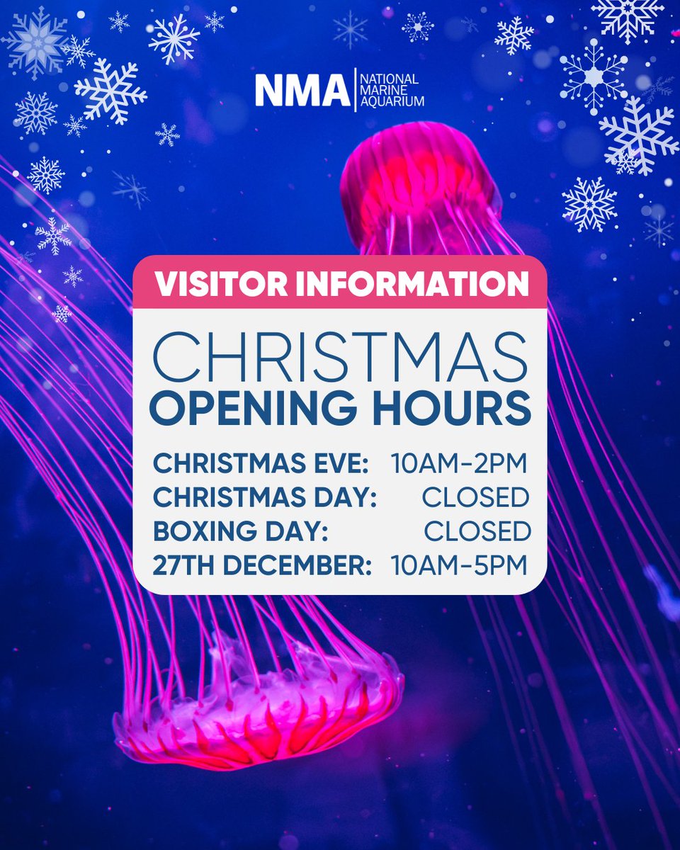 🎄Christmas Opening Hours 🎄
 
We hope you have a wonderful festive break. 🎅🏼 If you're planning on visiting the NMA during the Christmas period please be aware of our opening hours.
 
We will be open as usual from 10am on the 27th of December. Sea you then!