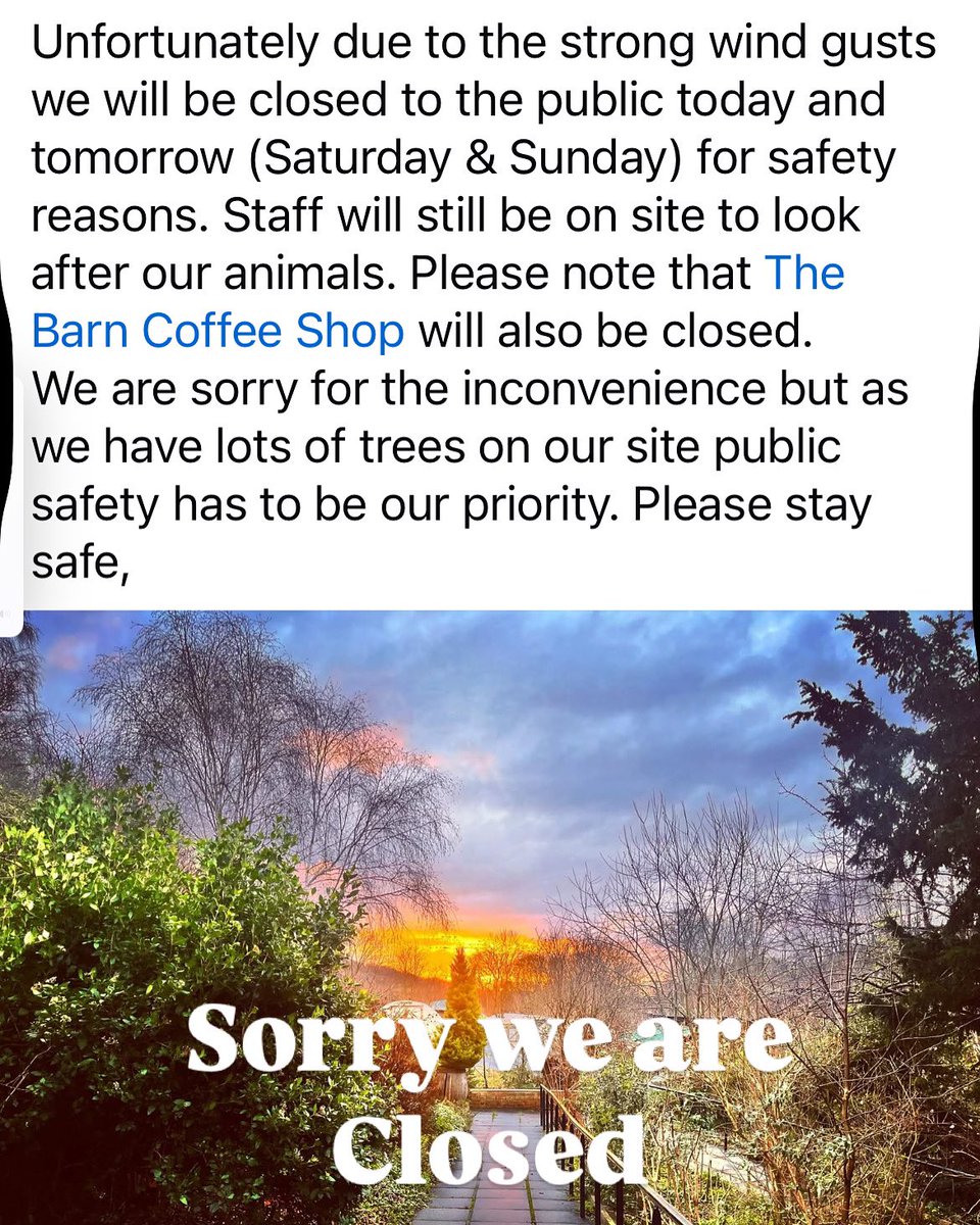Meanwood Farm (@meanwoodfarm) on Twitter photo 
