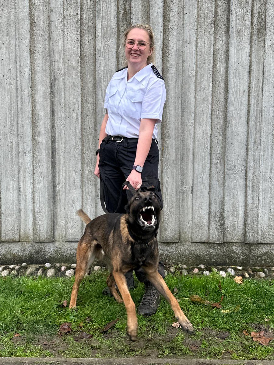 Congratulations to GPD REGAN and his new handler for passing thier re-team course, Regan has been with us since a puppy but found himself needing a new handler, his new handler unfortunately had to retire her dog on medical advice but this meant Regan now has a new best friend 👏
