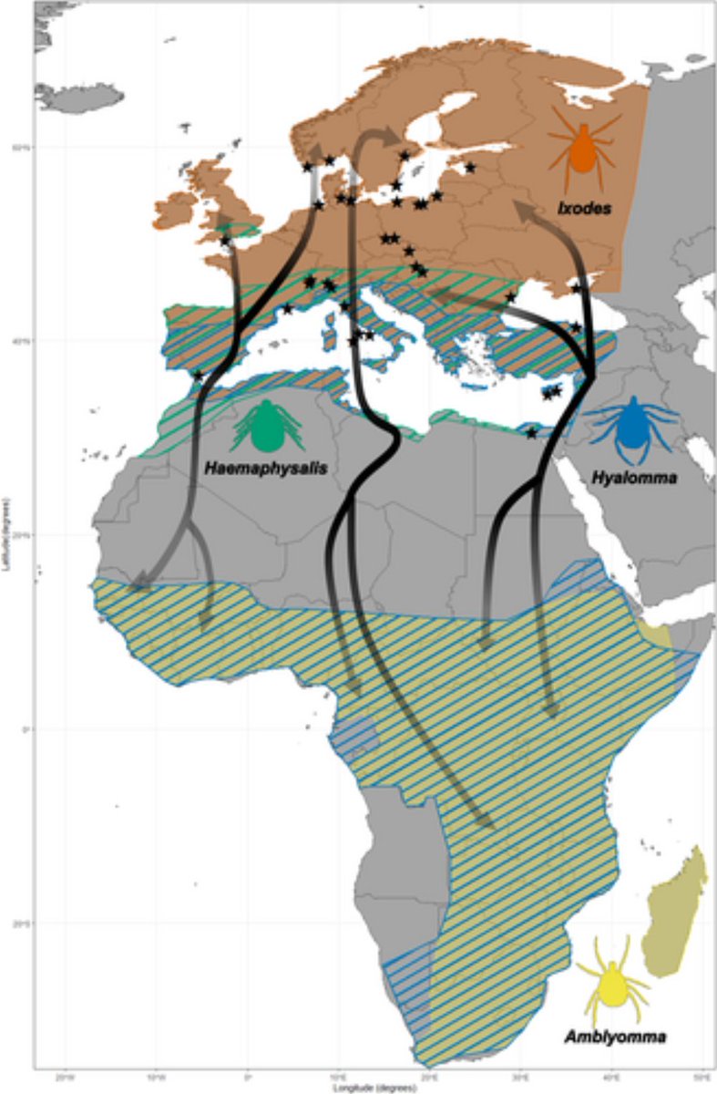 J. of Avian Biology tweet media