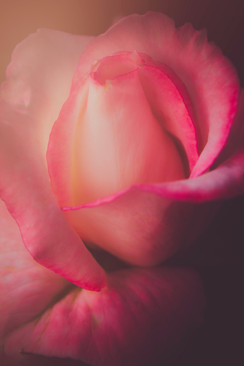 QT with your art with flowers🌸🪷