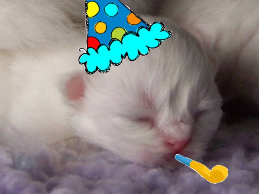 ime ,, 20 sec ons. Old ! nows ,, oh my ,,,
happee. Burthdays to mee !! yippeeee !!!!