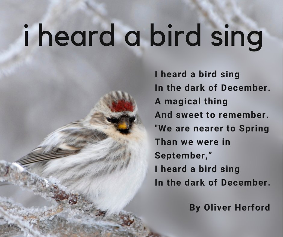 Happy Solstice. The days get longer from here.