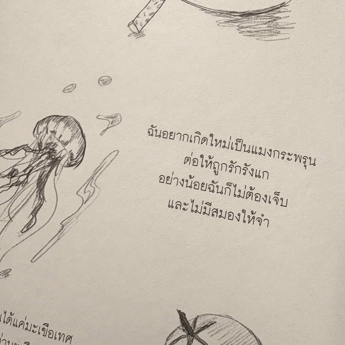 ร้านกลิ่นหนังสือ tweet media