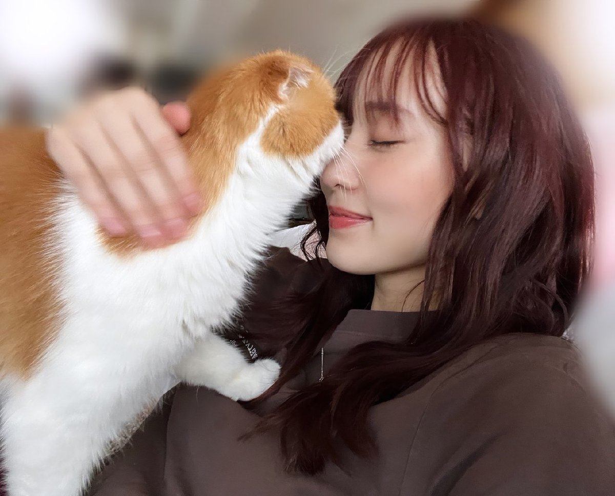 ありがトム - Search / X