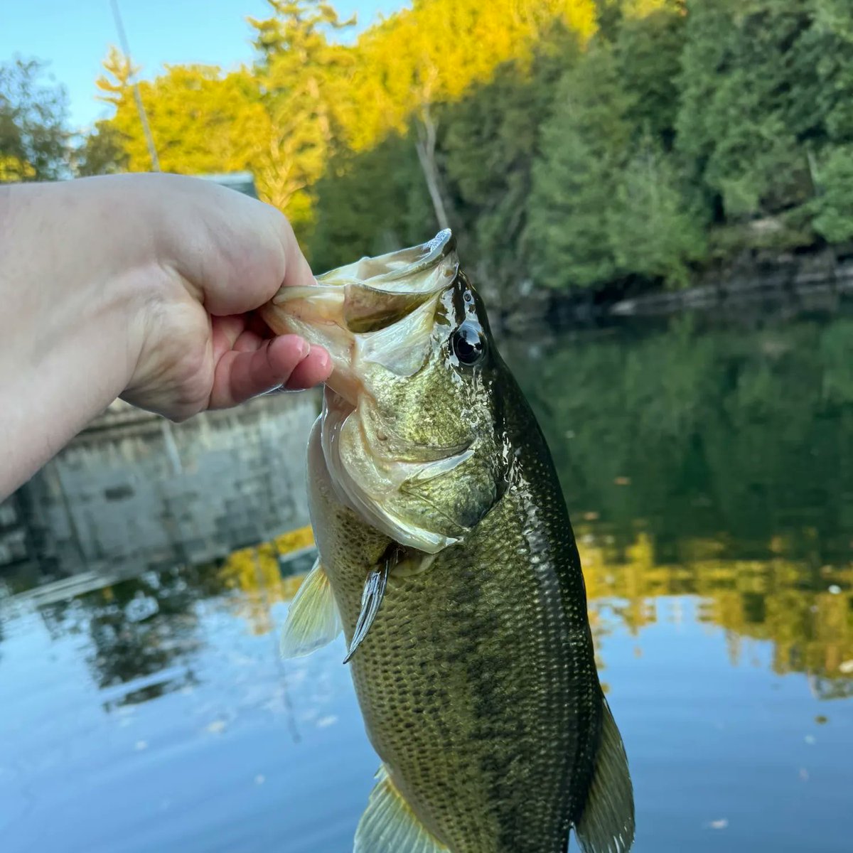 TheBlueFudge's tweet photo. Catch of the Day. Life's good. https://t.co/K8twUVmFmi