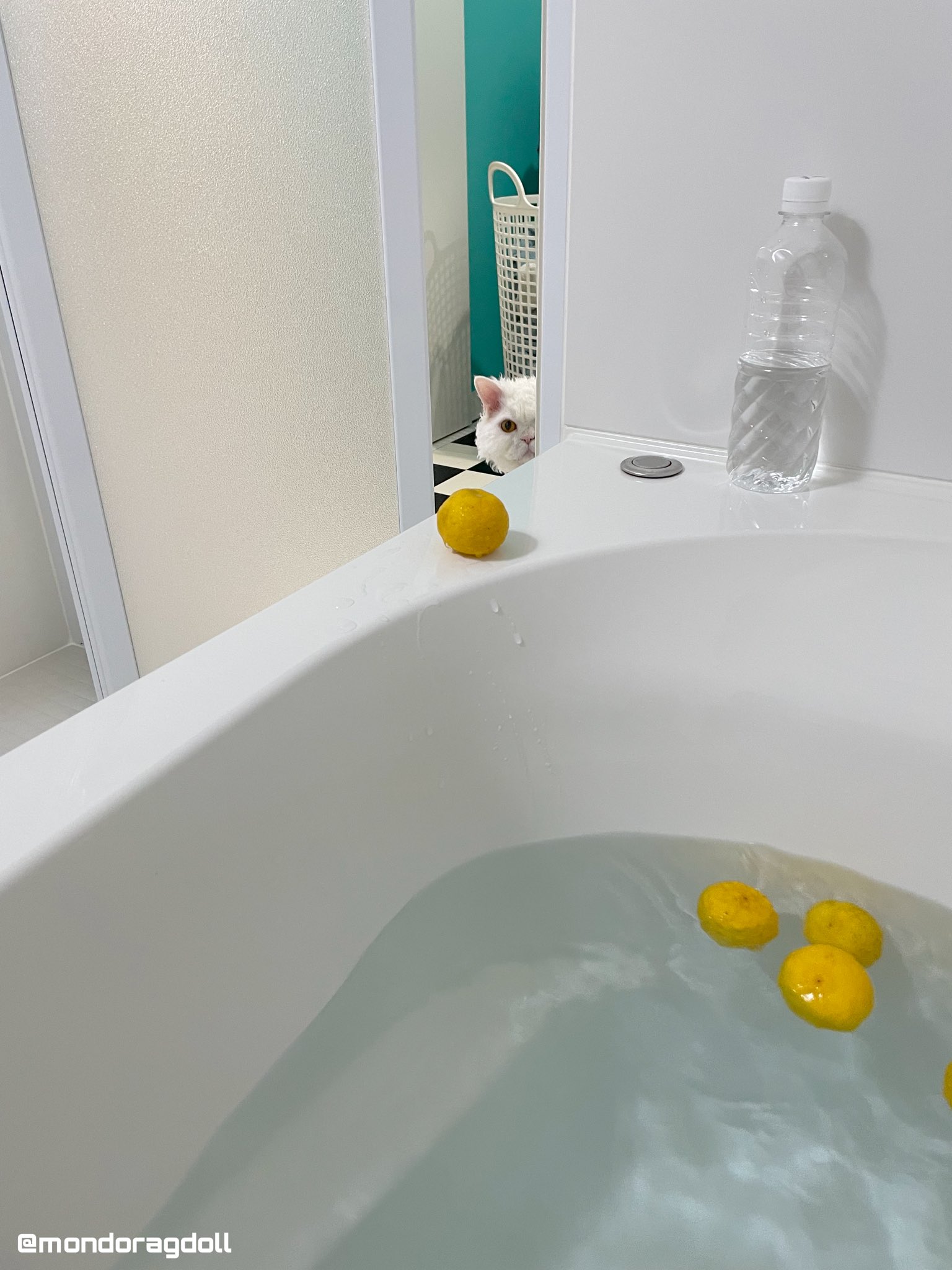 ゆず湯ページ yuzu1_new3.jpg