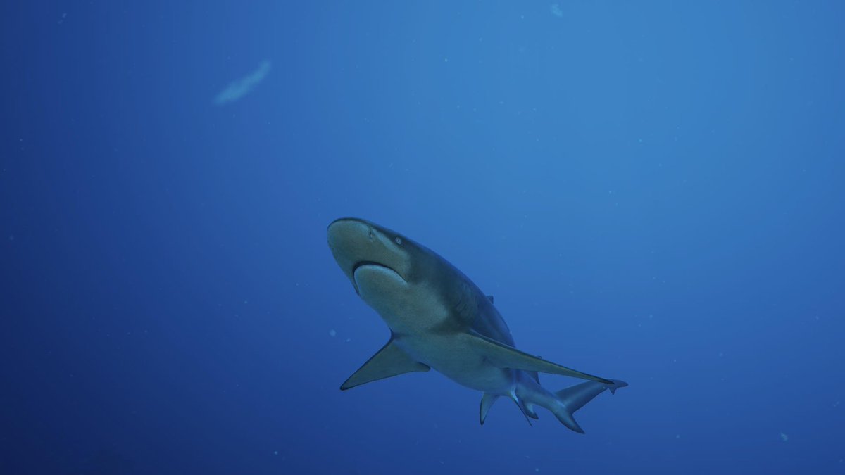 FreaksBits's tweet image. Les primeres pantalles del #Subside (PSVR2) són espais relativament petits però amb molts secrets per descobrir. És dels jocs més bèsties en saber transmetre la sensació “d’estar allà”…