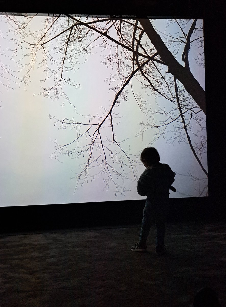 Ludovic S. tweet media