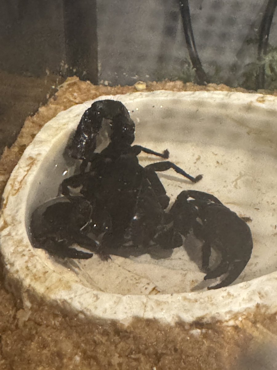 jyadou_'s tweet photo. @tantan_python リベンジしようw
また入ってるwww https://t.co/zlqis3qnYe