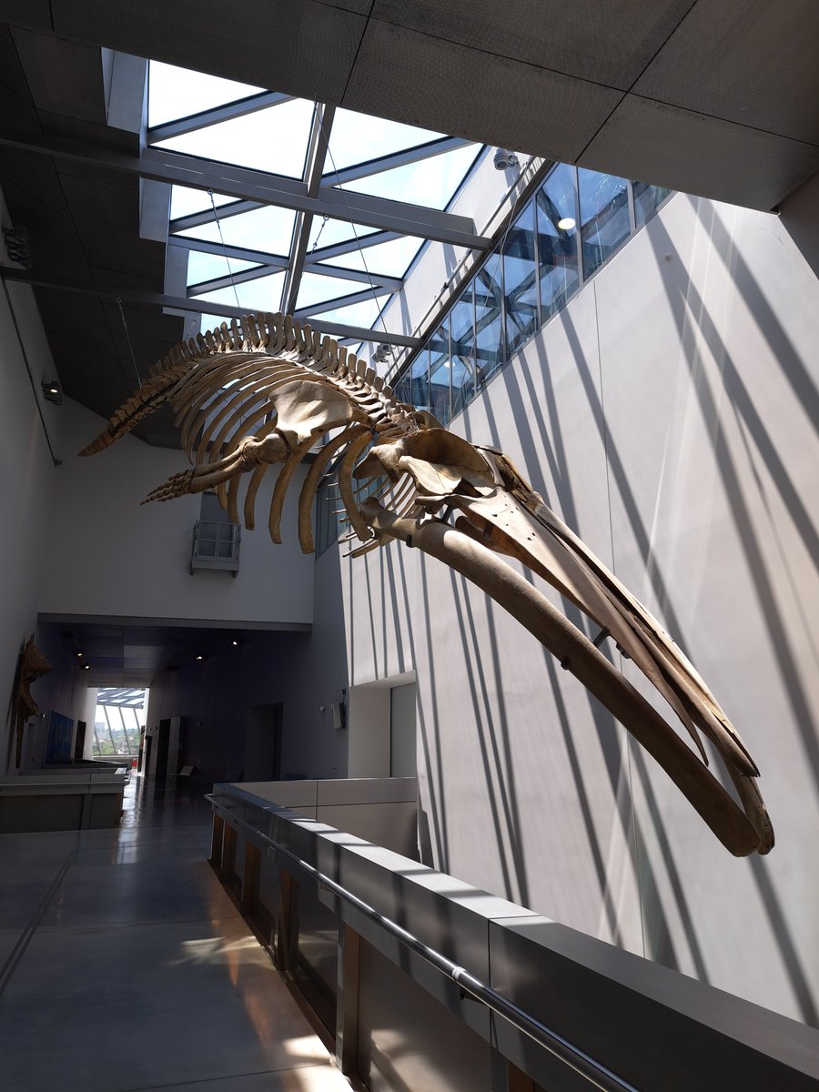 Ludovic S. tweet media