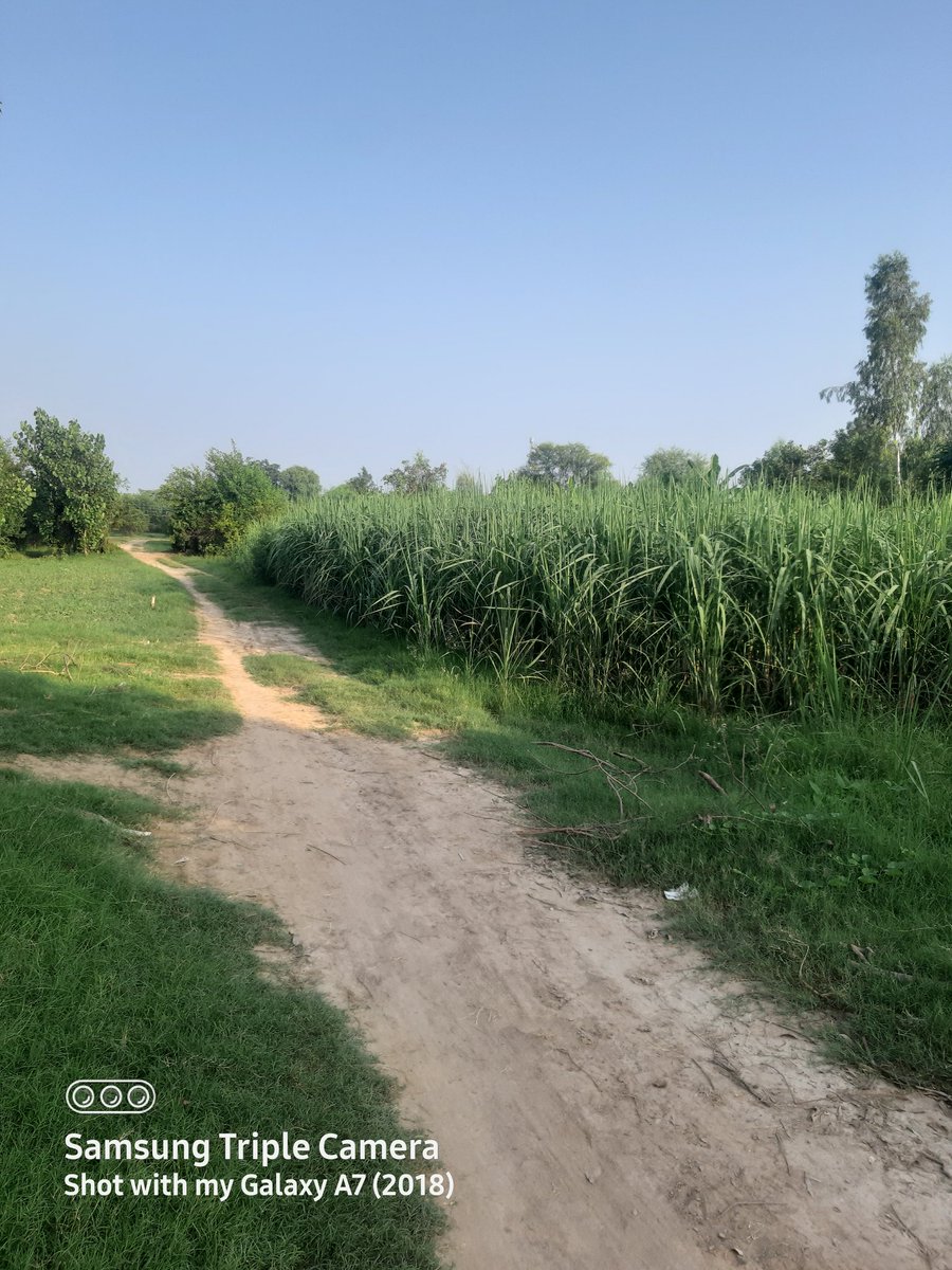 basharat567's tweet image. 