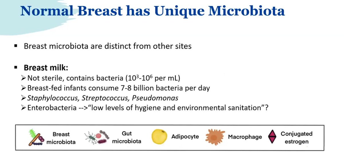 Janiranavarro's tweet photo. Breast milk-it is not sterile, contains bacteria
Dr Turashvili CCSP24 #pathology #pathologists #PathTwitter #PathX #pathresidents #pathfellow #breastpath https://t.co/pCvlSdoqZl