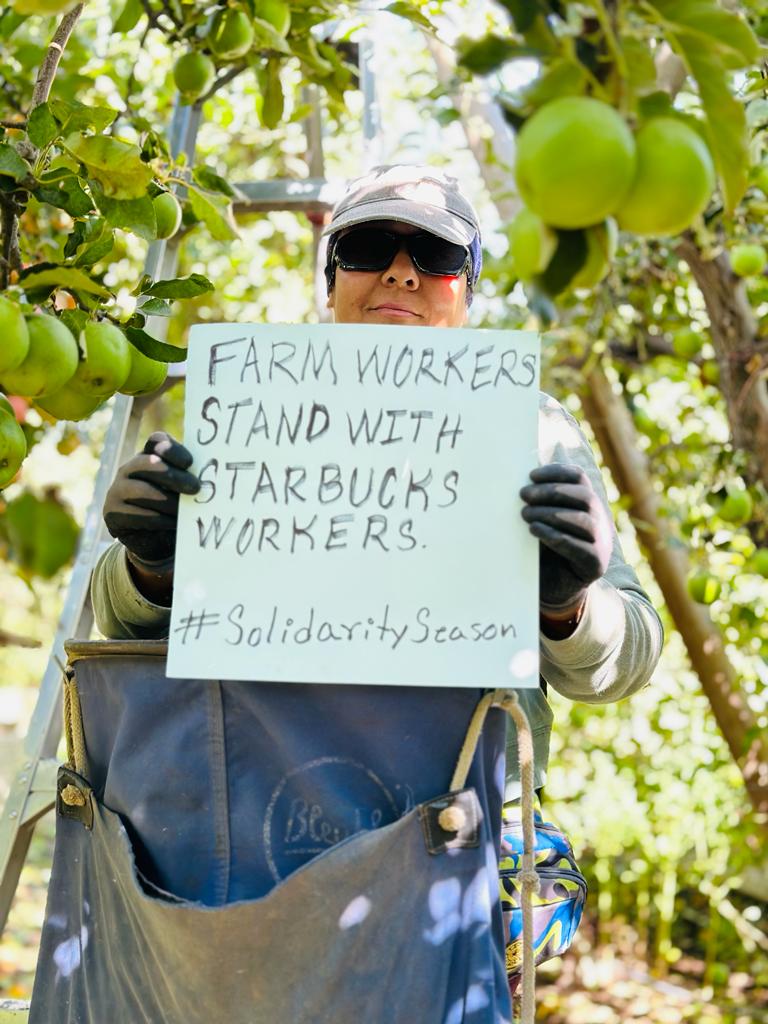 Farm workers support Starbucks baristas are ON STRIKE!!
#SolidaritySeason