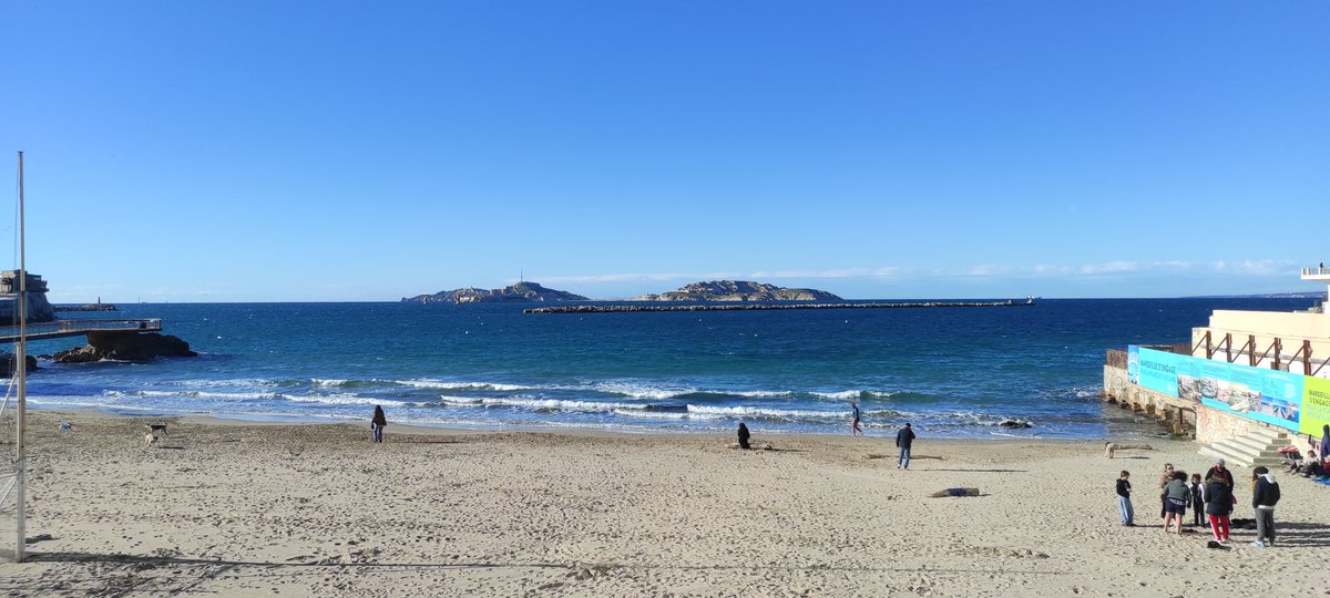 Bilal Demir tweet media