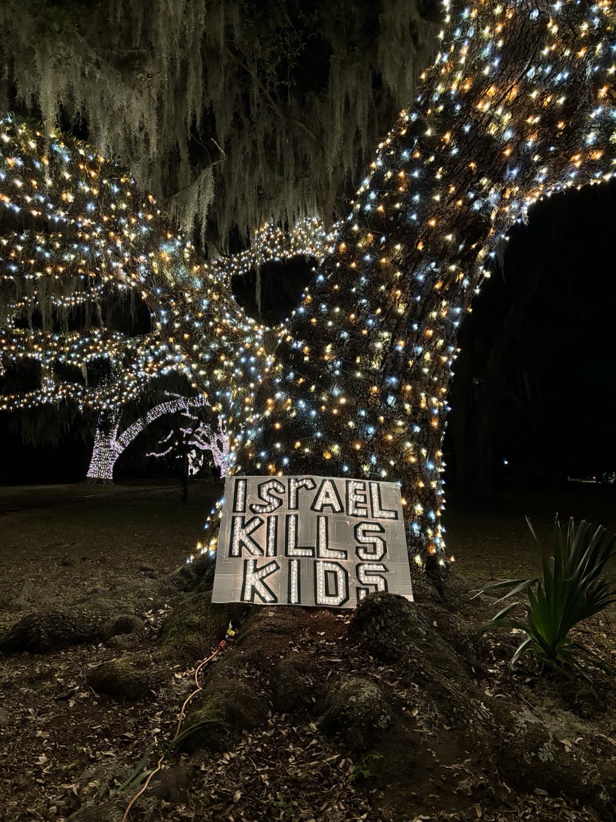 Seen in New Orleans at City Park’s Celebration in the Oaks:

“Israel Kills Kids” 

#FreePalestine 🇵🇸