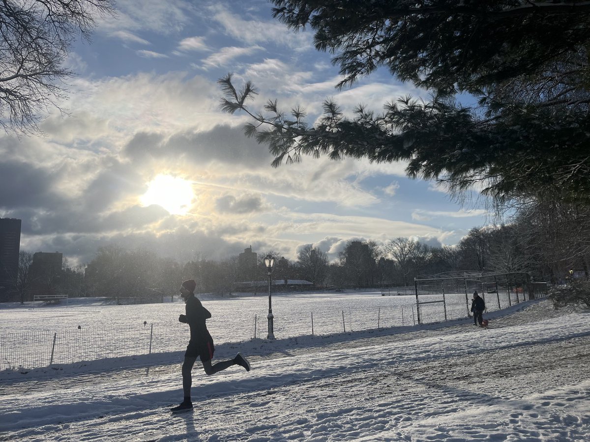 Central Park, je m’en lasserai jamais