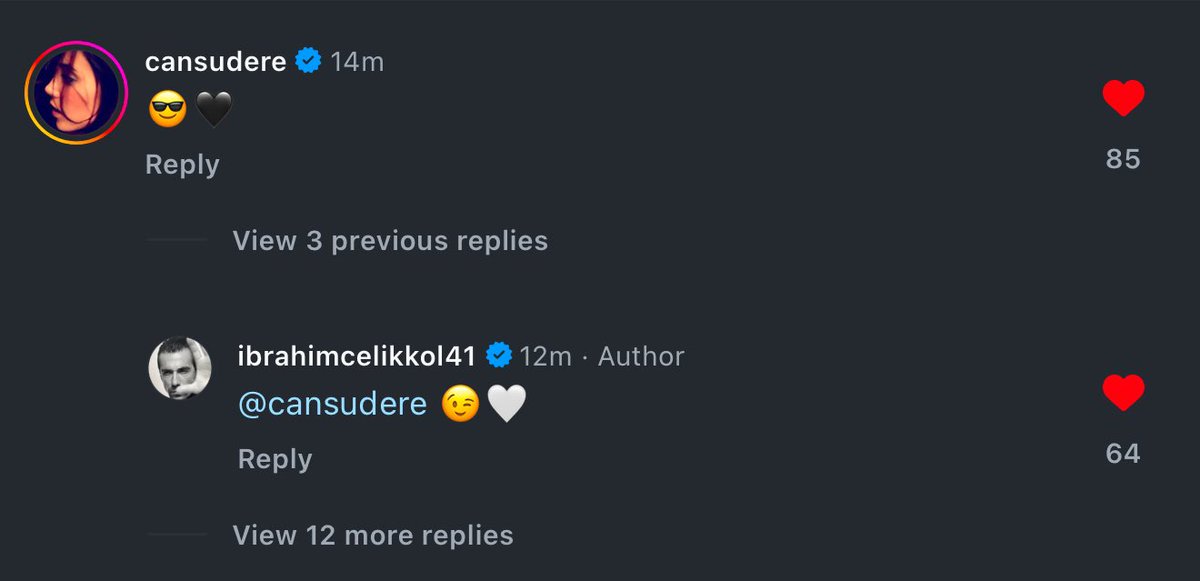 #CansuDere #İbrahimÇelikkol 
They did it😮‍💨🔥