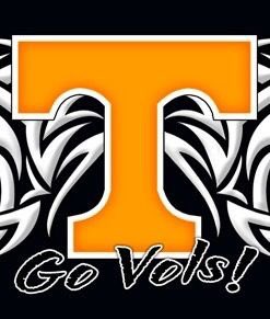Stelkr8zBo's tweet photo. @kentvolfan @BigBoyVol #GBO https://t.co/V35DETaTbd