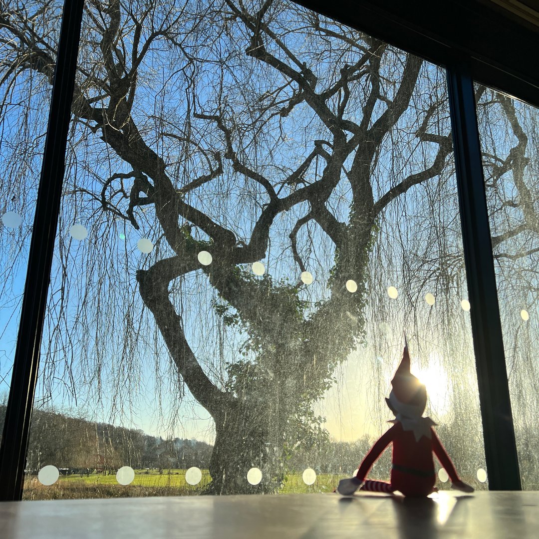 River & Rowing Museum tweet media